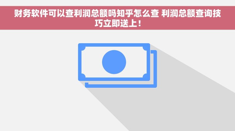 财务软件可以查利润总额吗知乎怎么查 利润总额查询技巧立即送上！