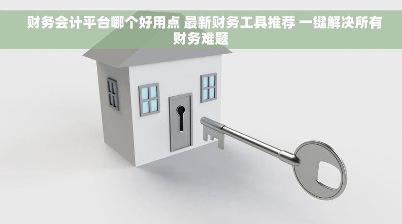   财务会计平台哪个好用点 最新财务工具推荐 一键解决所有财务难题