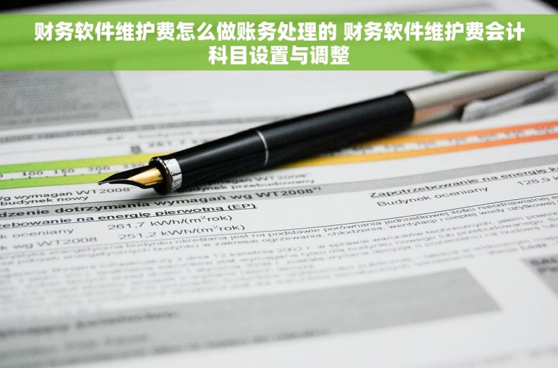 财务软件维护费怎么做账务处理的 财务软件维护费会计科目设置与调整