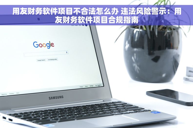 用友财务软件项目不合法怎么办 违法风险警示：用友财务软件项目合规指南