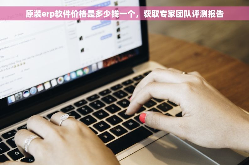 原装erp软件价格是多少钱一个，获取专家团队评测报告