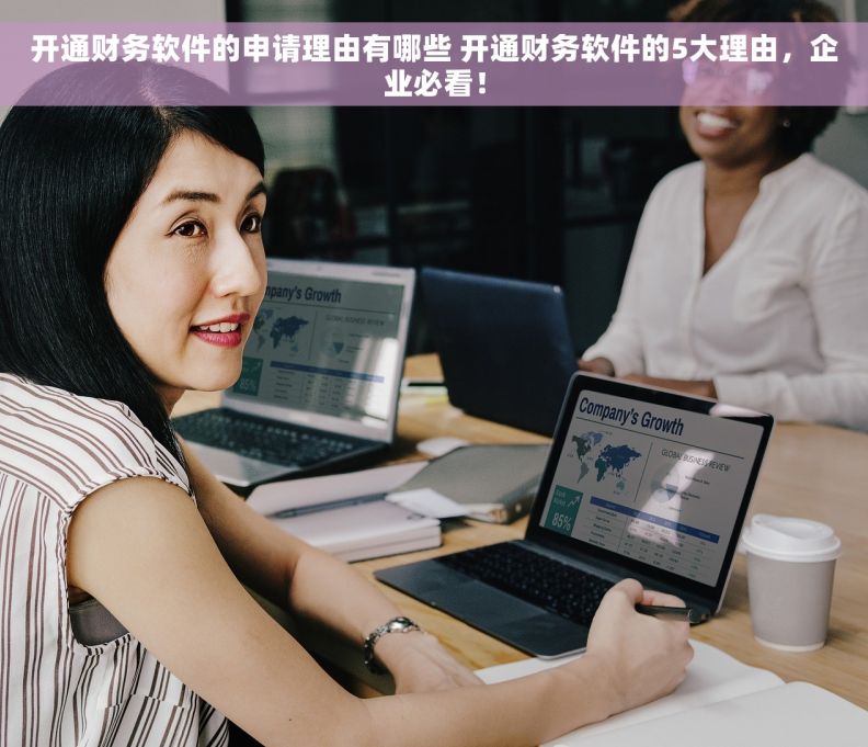 开通财务软件的申请理由有哪些 开通财务软件的5大理由，企业必看！