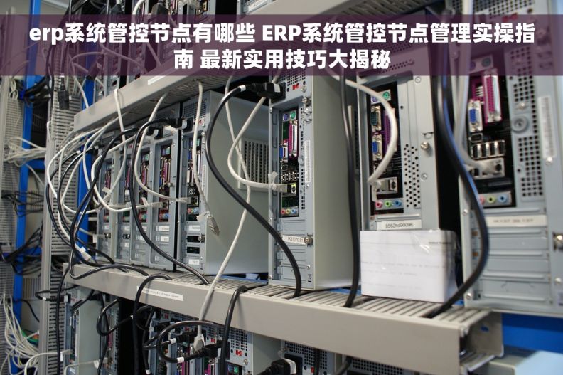 erp系统管控节点有哪些 ERP系统管控节点管理实操指南 最新实用技巧大揭秘