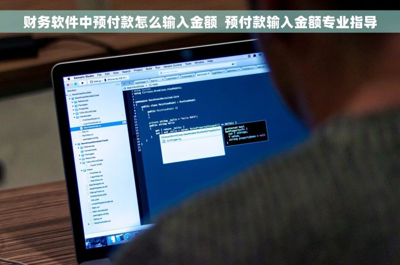 财务软件中预付款怎么输入金额  预付款输入金额专业指导
