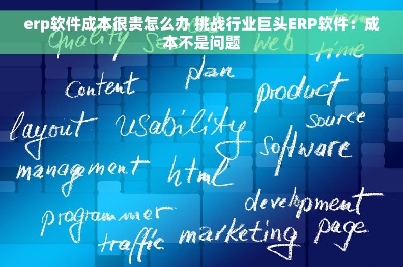 erp软件成本很贵怎么办 挑战行业巨头ERP软件：成本不是问题