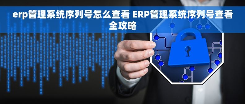 erp管理系统序列号怎么查看 ERP管理系统序列号查看全攻略