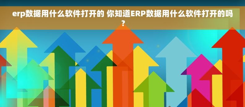 erp数据用什么软件打开的 你知道ERP数据用什么软件打开的吗？