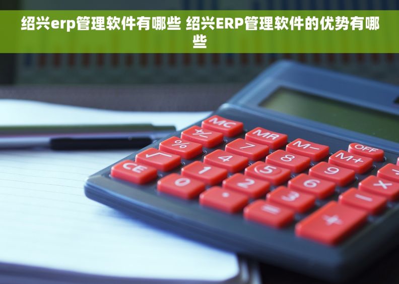 绍兴erp管理软件有哪些 绍兴ERP管理软件的优势有哪些