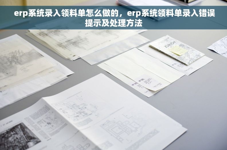 erp系统录入领料单怎么做的，erp系统领料单录入错误提示及处理方法