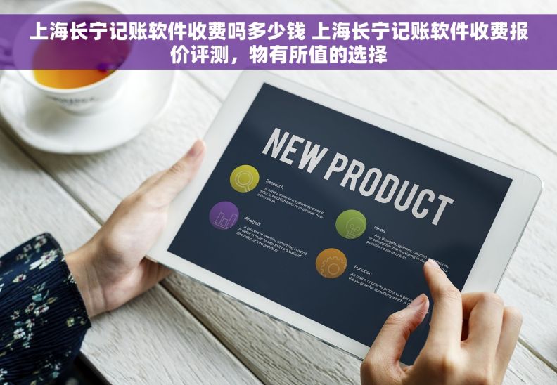 上海长宁记账软件收费吗多少钱 上海长宁记账软件收费报价评测，物有所值的选择