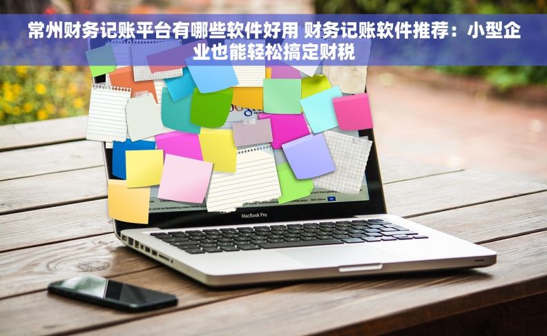 常州财务记账平台有哪些软件好用 财务记账软件推荐：小型企业也能轻松搞定财税