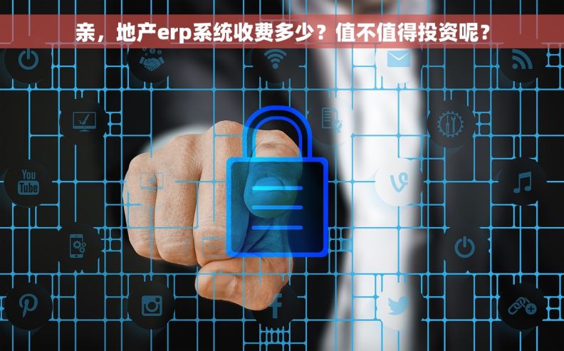 亲，地产erp系统收费多少？值不值得投资呢？