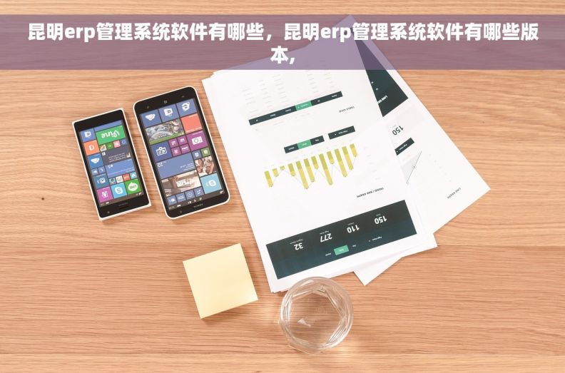 昆明erp管理系统软件有哪些，昆明erp管理系统软件有哪些版本,