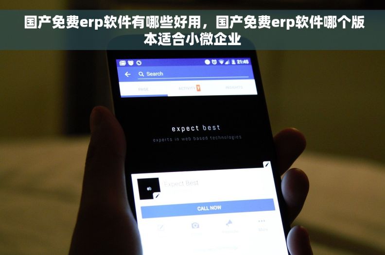  国产免费erp软件有哪些好用，国产免费erp软件哪个版本适合小微企业