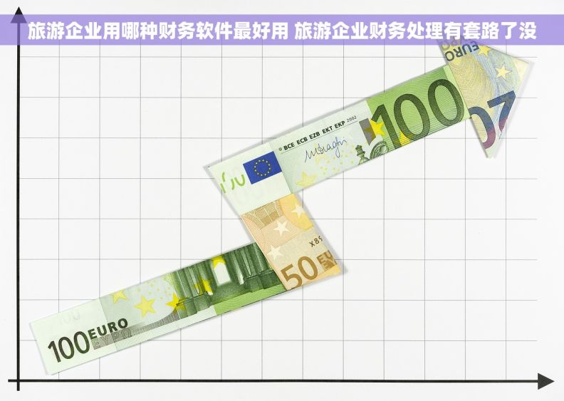 旅游企业用哪种财务软件最好用 旅游企业财务处理有套路了没