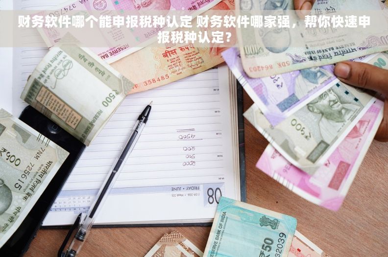 财务软件哪个能申报税种认定 财务软件哪家强，帮你快速申报税种认定？
