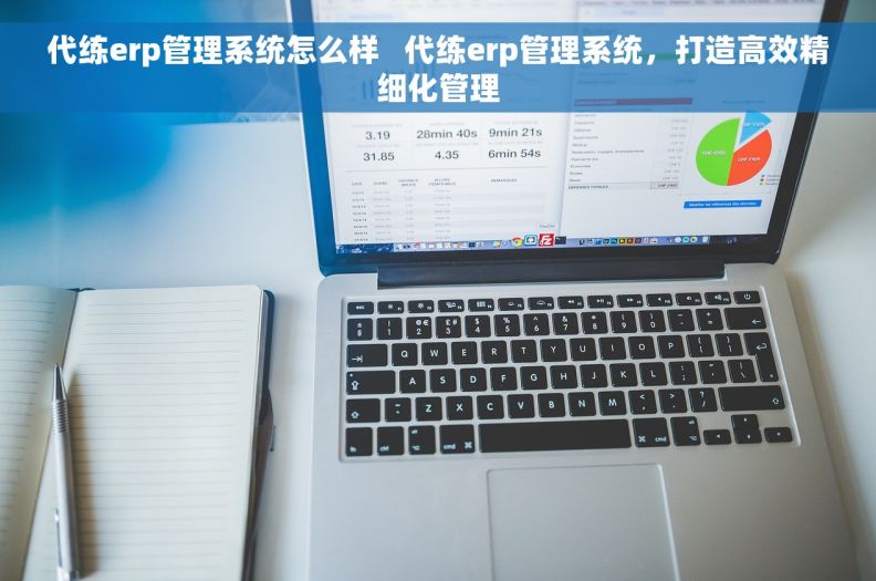 代练erp管理系统怎么样   代练erp管理系统，打造高效精细化管理