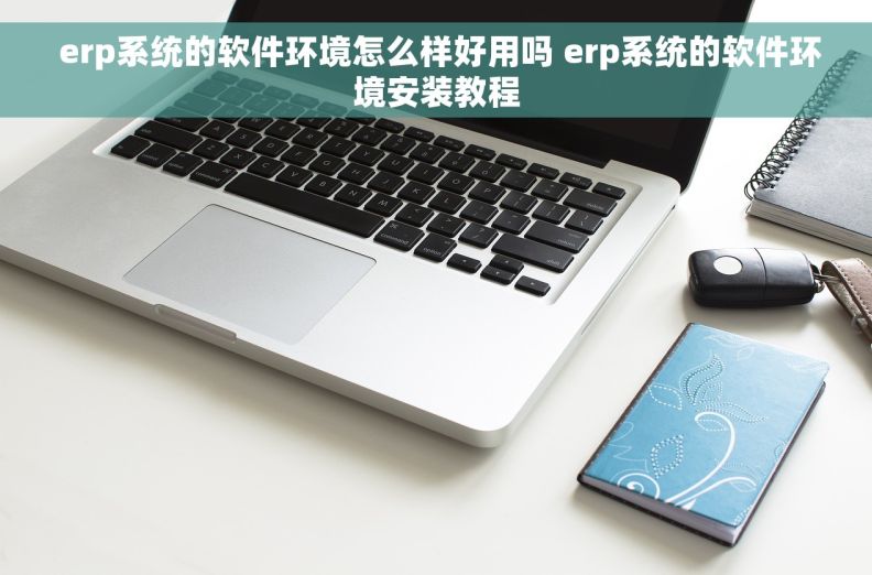  erp系统的软件环境怎么样好用吗 erp系统的软件环境安装教程