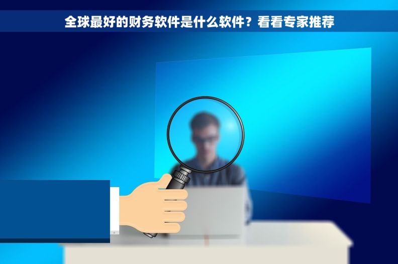 全球最好的财务软件是什么软件？看看专家推荐