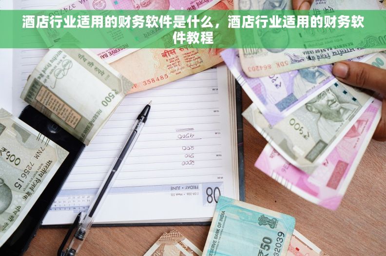 酒店行业适用的财务软件是什么，酒店行业适用的财务软件教程