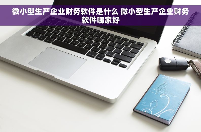 微小型生产企业财务软件是什么 微小型生产企业财务软件哪家好