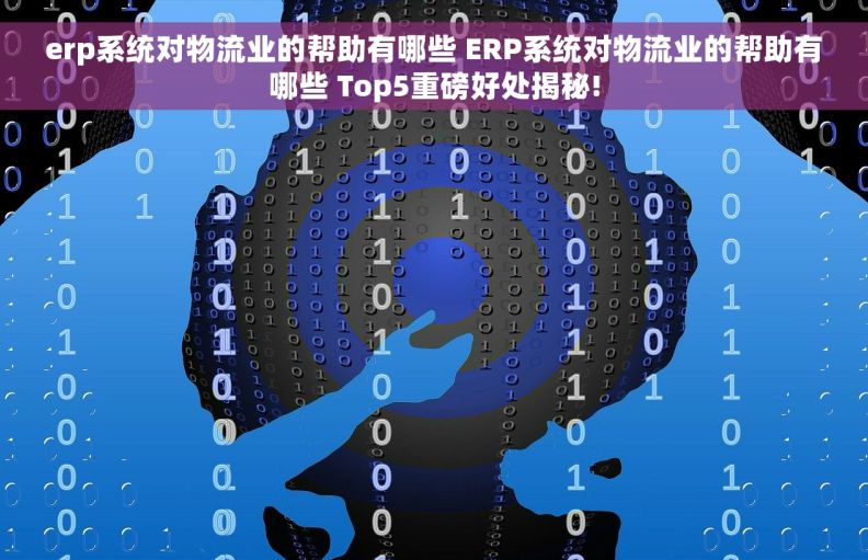 erp系统对物流业的帮助有哪些 ERP系统对物流业的帮助有哪些 Top5重磅好处揭秘!