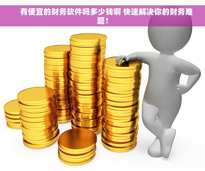     有便宜的财务软件吗多少钱啊 快速解决你的财务难题！