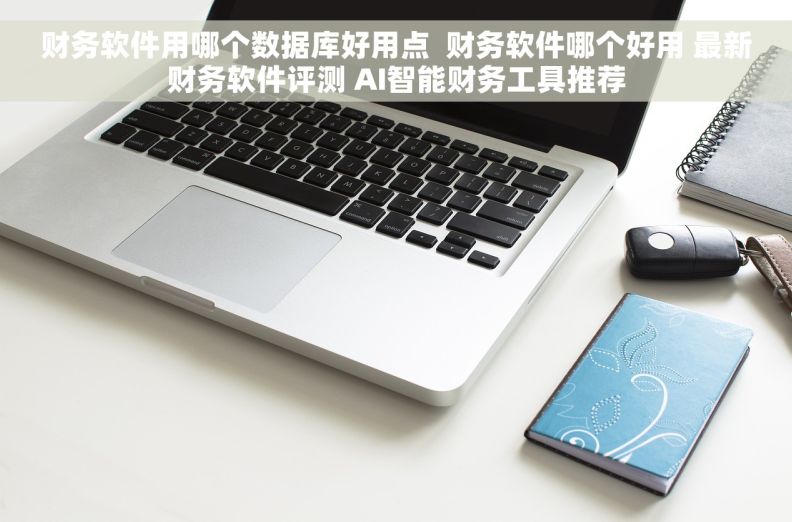 财务软件用哪个数据库好用点  财务软件哪个好用 最新财务软件评测 AI智能财务工具推荐