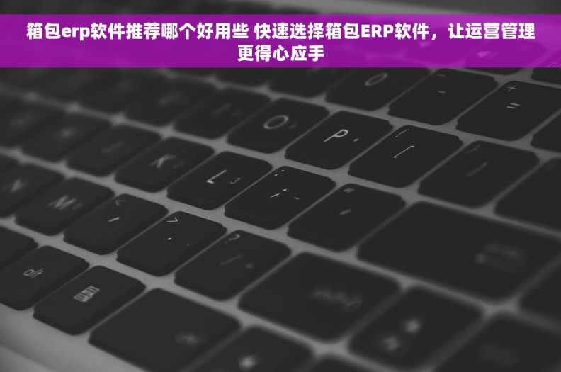 箱包erp软件推荐哪个好用些 快速选择箱包ERP软件，让运营管理更得心应手