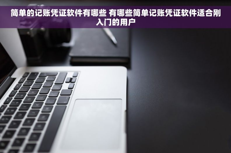 简单的记账凭证软件有哪些 有哪些简单记账凭证软件适合刚入门的用户