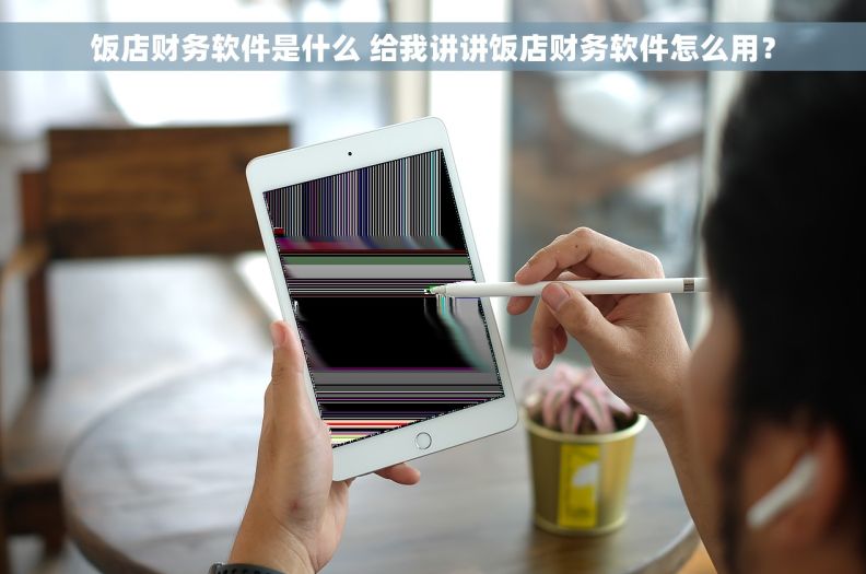 饭店财务软件是什么 给我讲讲饭店财务软件怎么用？