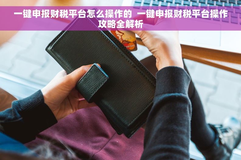 一键申报财税平台怎么操作的  一键申报财税平台操作攻略全解析