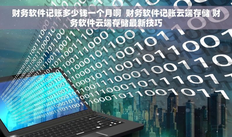 财务软件记账多少钱一个月啊  财务软件记账云端存储 财务软件云端存储最新技巧