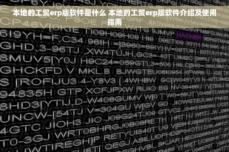 本地的工贸erp版软件是什么 本地的工贸erp版软件介绍及使用指南