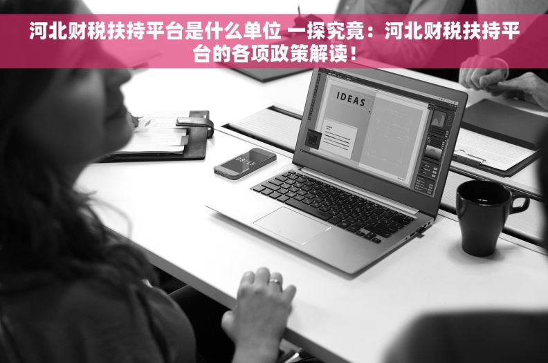河北财税扶持平台是什么单位 一探究竟：河北财税扶持平台的各项政策解读！