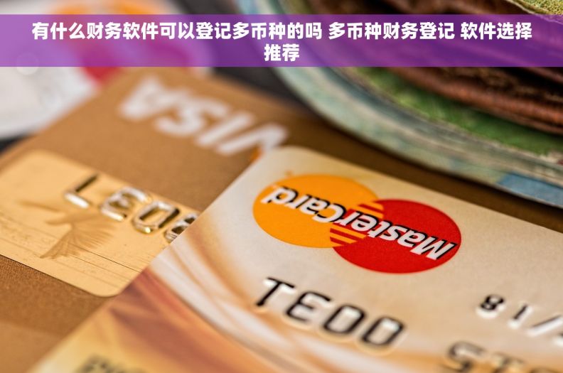 有什么财务软件可以登记多币种的吗 多币种财务登记 软件选择推荐