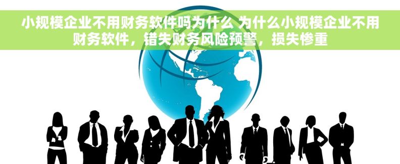 小规模企业不用财务软件吗为什么 为什么小规模企业不用财务软件，错失财务风险预警，损失惨重