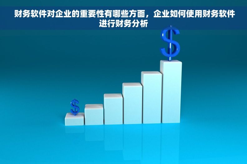  财务软件对企业的重要性有哪些方面，企业如何使用财务软件进行财务分析