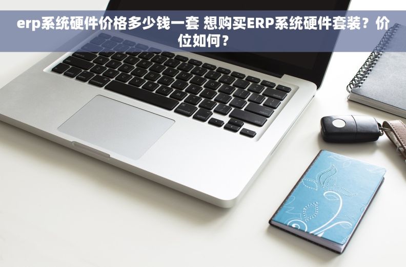 erp系统硬件价格多少钱一套 想购买ERP系统硬件套装？价位如何？