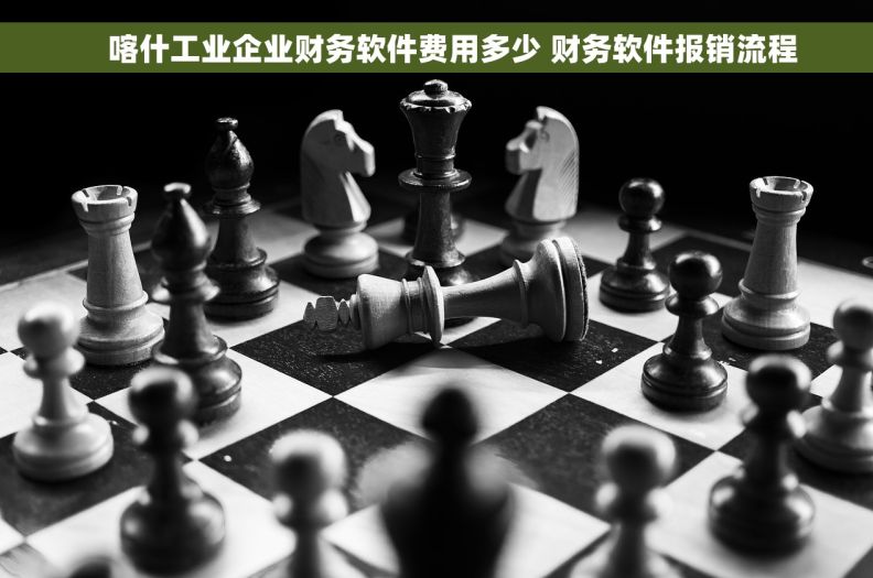     喀什工业企业财务软件费用多少 财务软件报销流程