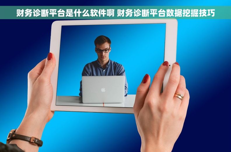财务诊断平台是什么软件啊 财务诊断平台数据挖掘技巧