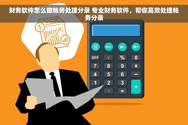 财务软件怎么做帐务处理分录 专业财务软件，帮你高效处理帐务分录