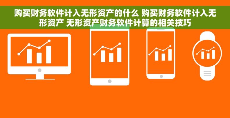 购买财务软件计入无形资产的什么 购买财务软件计入无形资产 无形资产财务软件计算的相关技巧