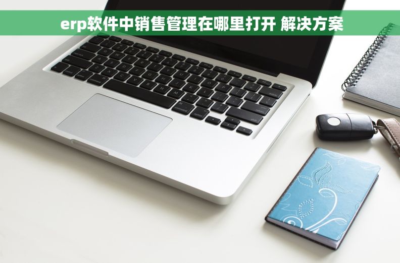  erp软件中销售管理在哪里打开 解决方案