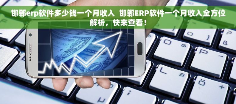 邯郸erp软件多少钱一个月收入  邯郸ERP软件一个月收入全方位解析，快来查看！