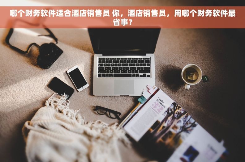 哪个财务软件适合酒店销售员 你，酒店销售员，用哪个财务软件最省事？