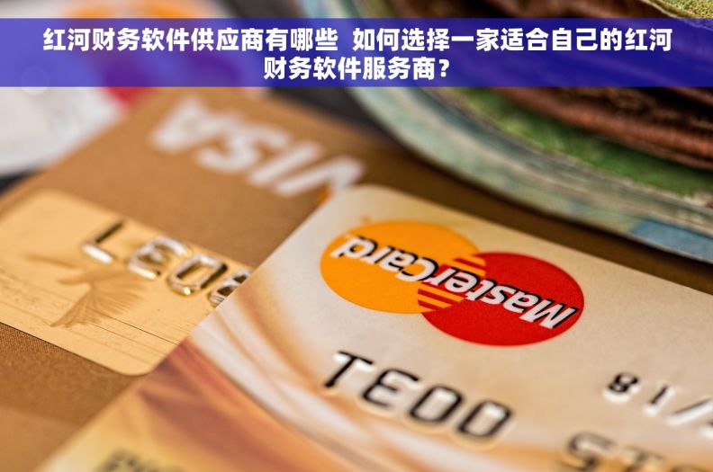红河财务软件供应商有哪些  如何选择一家适合自己的红河财务软件服务商？