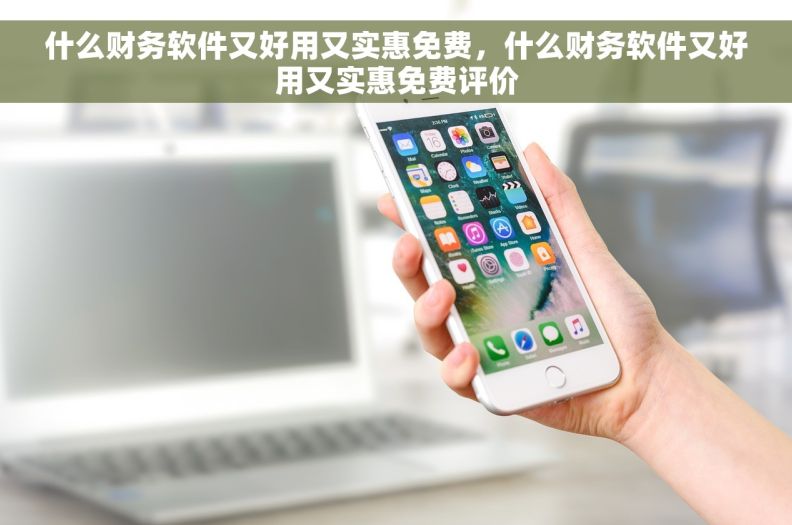 什么财务软件又好用又实惠免费，什么财务软件又好用又实惠免费评价