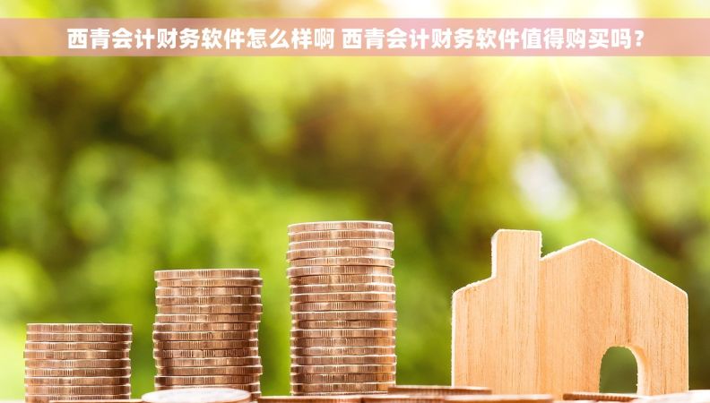 西青会计财务软件怎么样啊 西青会计财务软件值得购买吗？