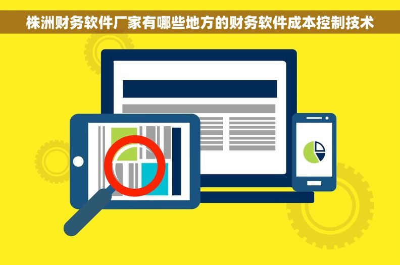 株洲财务软件厂家有哪些地方的财务软件成本控制技术